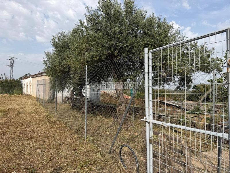 Foto 213f2908-5c92-41d5-90e6-843110f97950. Masia a Codosera (La)