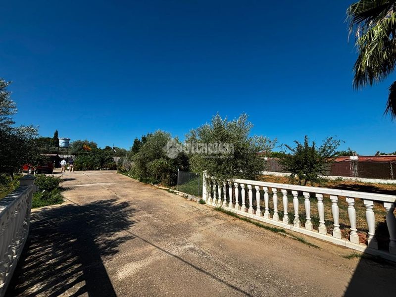 Foto db9e8009-4e90-45d3-90a4-226a9748eac1. Masia a Las Vaguadas Badajoz