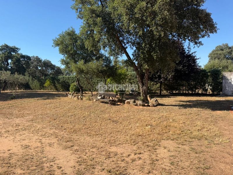Foto 6220ca4f-7667-46fa-94f2-56ac14fa6821. Masia a pedanías de Badajoz Badajoz