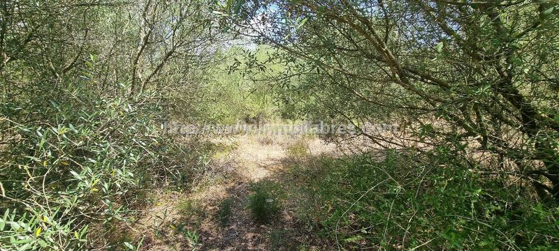 Foto c626a786-8d76-4776-a94e-edad415e3244. Terreny residencial a Cristo Rey-Parque Europa Inca