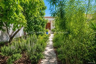 Casa a Centro. Fantastica planta baja en inca techo libre