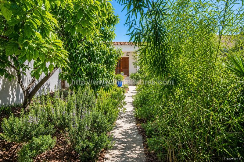 Foto d9e0865a-2785-4f54-99fc-c3fd896420c2. Casa a Centro Inca