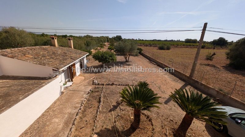Foto 6976e739-e257-4d2c-8780-6844ee5758a7. Casale con parcheggio in Algaida