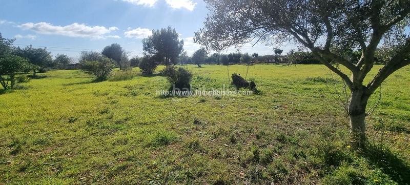 Foto 46b0d50d-0b1c-46a3-b034-1fe091585e7c. Casale con riscaldamento parcheggio in Cristo Rey-Parque Europa Inca