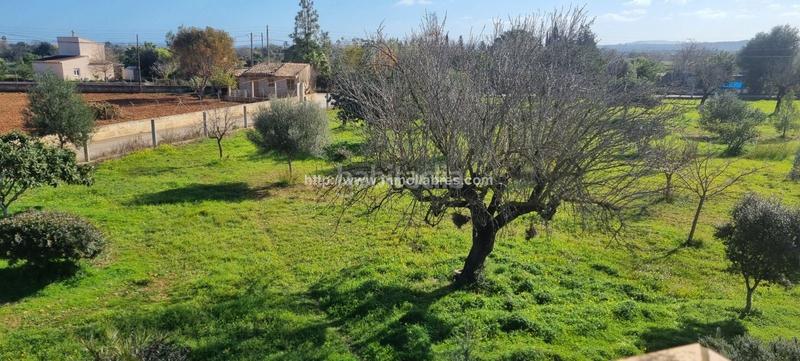 Foto 91196f0a-d53f-4abd-991a-da7458180a6a. Casale con riscaldamento parcheggio in Cristo Rey-Parque Europa Inca