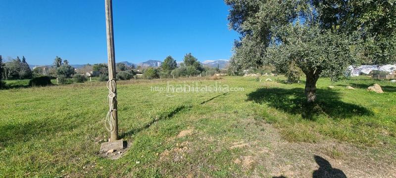 Foto e0a241c5-8e88-475b-8fde-0d4fc5e15814. Casale con riscaldamento parcheggio in Cristo Rey-Parque Europa Inca