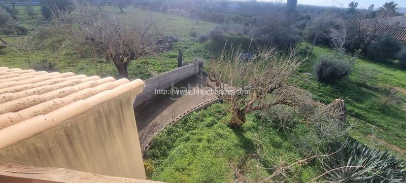 Foto ee96c9a1-1653-42fd-9e4c-49aec85e39ed. Casale con riscaldamento parcheggio in Cristo Rey-Parque Europa Inca