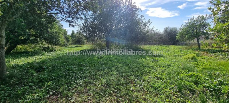 Foto 1a453d62-e793-4618-bb01-3cc04962c7bc. Masia amb calefacció a Sencelles