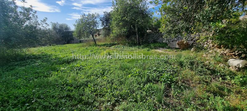 Foto 6b69178a-9e9e-4039-9cda-333b1cd26860. Masia amb calefacció a Sencelles