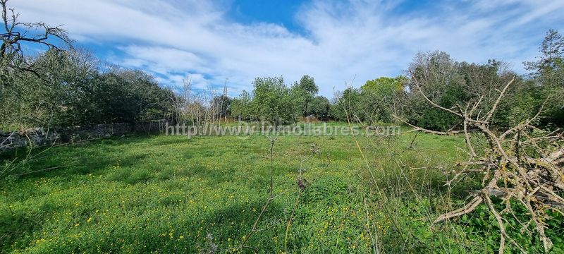 Foto c8de0e9e-10ba-4b86-8ca3-126f6f95aa3e. Masia amb calefacció a Sencelles