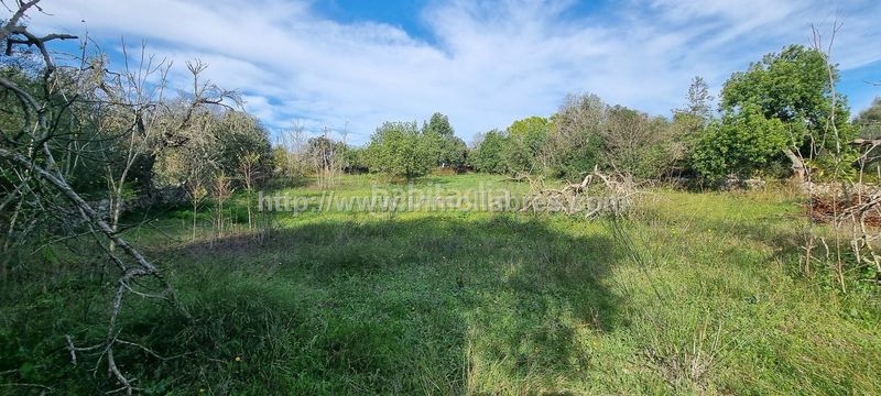Foto dc544d72-c977-4397-9ee8-8f5eeb24c2f3. Masia amb calefacció a Sencelles