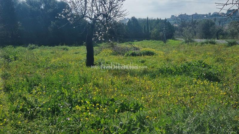 Foto c534706d-a68b-4cff-b7ff-9851cb34f3b9. Terreny residencial a Gran Via de Colom Inca