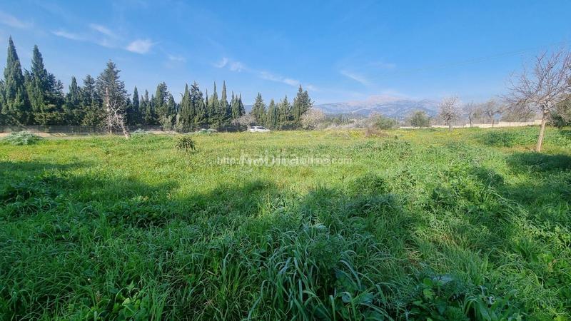 Foto f81dd4e0-a485-46fc-b394-217df4afaa69. Terreny residencial a Gran Via de Colom Inca