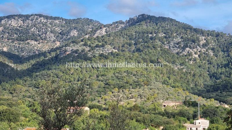 Foto 06295ba6-c52f-49a0-8ed4-0e538109fbb6. Casale in Selva