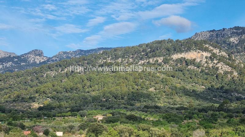 Foto 0a4af658-1da3-47dd-9b63-bd8bccd876d5. Casale in Selva