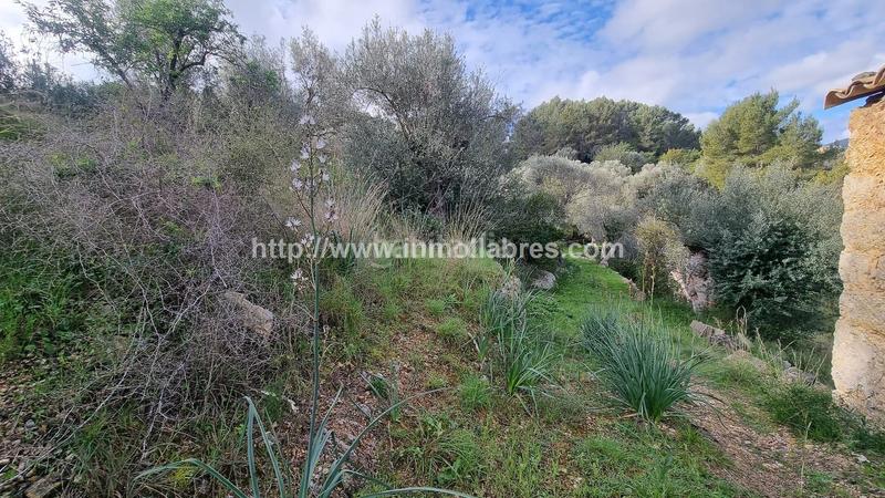 Foto 33b1ac86-e7dd-4ef0-a051-8f1ebe4d5b63. Casale in Selva