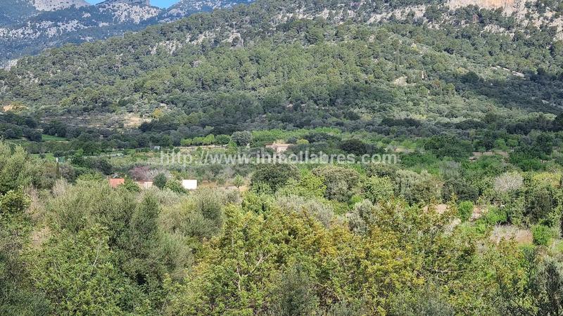 Foto 3827bb2f-a143-40f2-8603-c78ff0c8132d. Casale in Selva