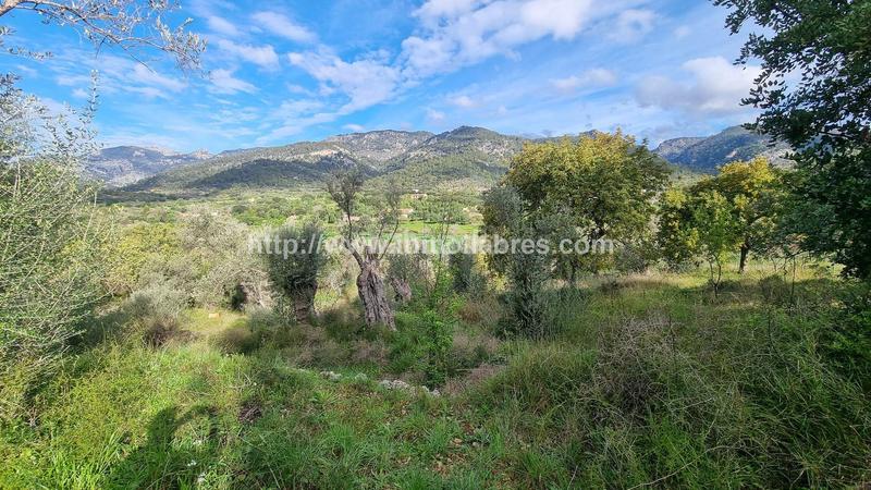 Foto 392cf320-6d7e-4364-8d92-82bc15ae65f6. Casale in Selva