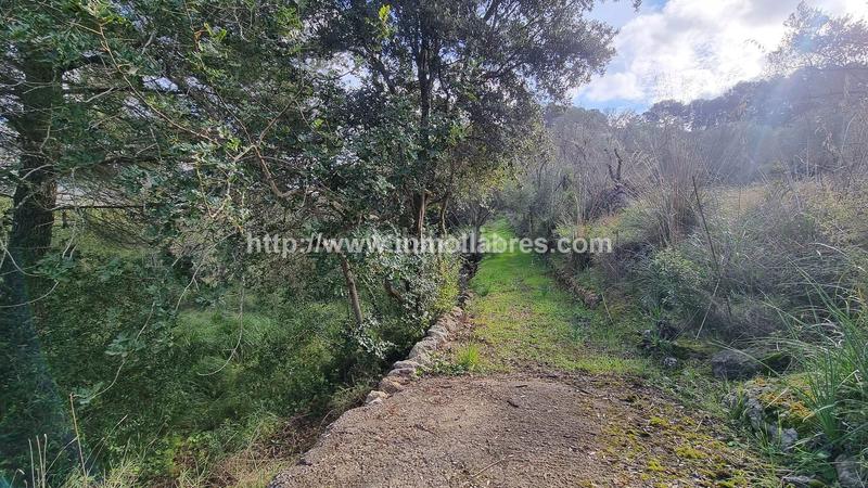 Foto 45f675dc-3ee0-47a8-bf48-2696fd31a237. Casale in Selva