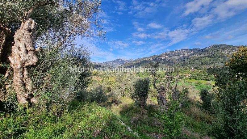 Foto 47c70459-d6af-4cab-812f-40d6cd4dce08. Casale in Selva