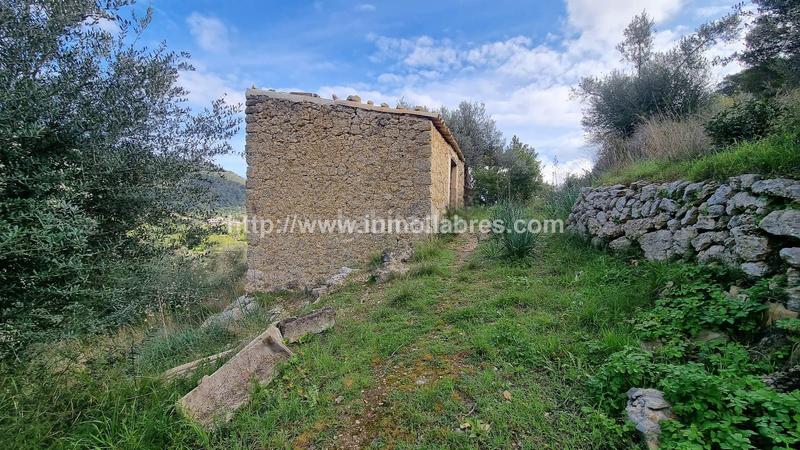 Foto 48e78929-de8a-4819-b89b-b16a39b21f44. Casale in Selva