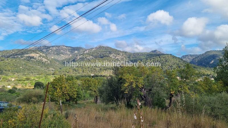 Foto 5bbf1daa-ce77-421e-95ea-58b0df9edc3e. Casale in Selva