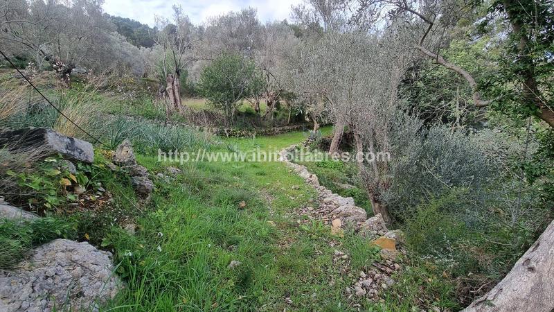 Foto 6340c96b-4c56-4369-a840-cbe5b8734241. Casale in Selva