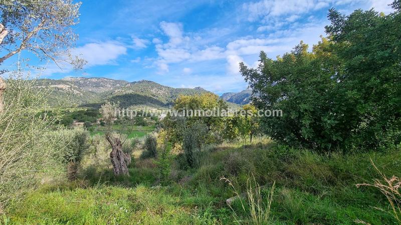 Foto 63d05da1-74bd-4514-8850-eebe91c7b5c6. Casale in Selva