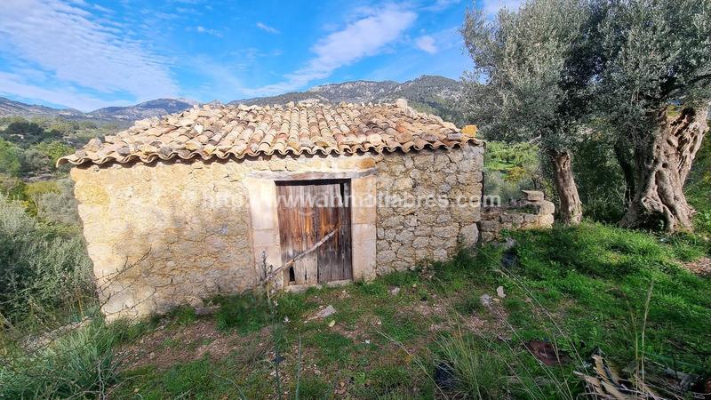 Foto 9967e4c3-0e64-49f6-a5c9-a0193da1e8bd. Casale in Selva