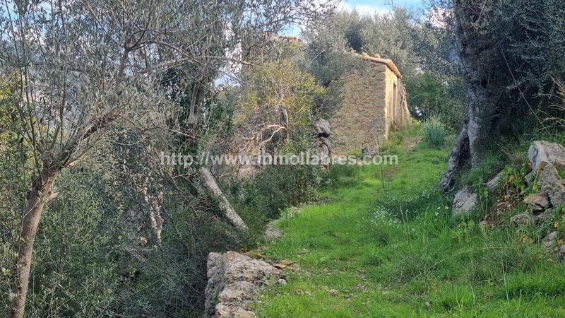 Foto 9bafad4c-9b21-4d3c-a192-9cb831154ae4. Casale in Selva