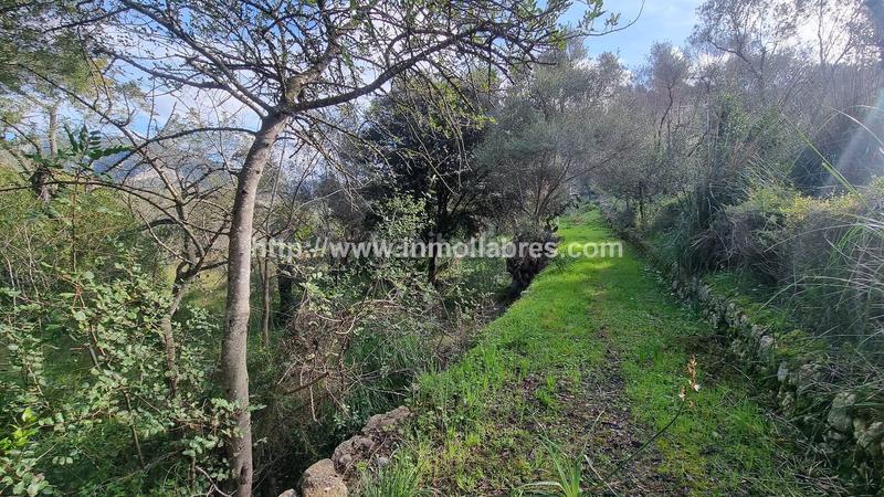 Foto c04e9f13-2e8f-48ea-a362-6ffde129ace3. Casale in Selva