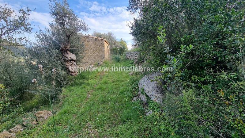 Foto e5a55cb8-b186-4779-818e-d95be86740e4. Casale in Selva