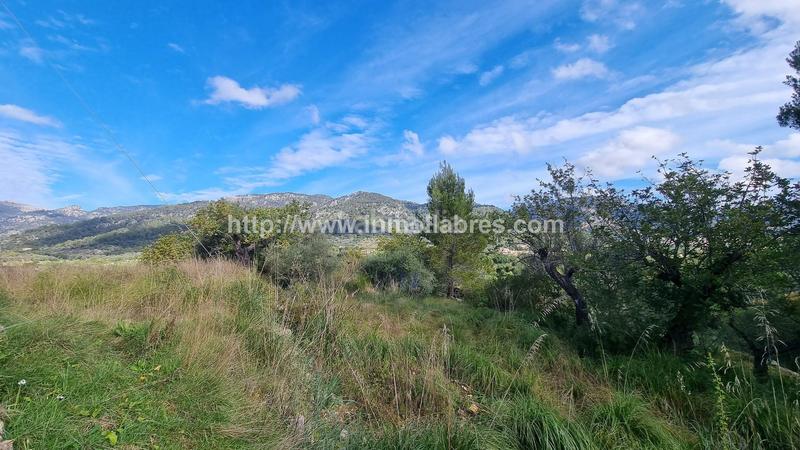 Foto e5ea8a04-03da-4764-8b81-7d7eac5add0a. Casale in Selva