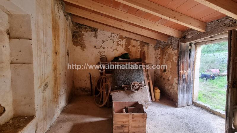 Foto fa493b09-6162-406d-84c2-206a5bc1c12b. Casale in Selva