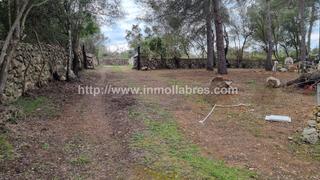 Residential Plot in Lloret de Vista Alegre. Bonita finca en lloret de vistalegre