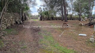 Terreny residencial a Lloret de Vista Alegre. Bonita finca en lloret de vistalegre