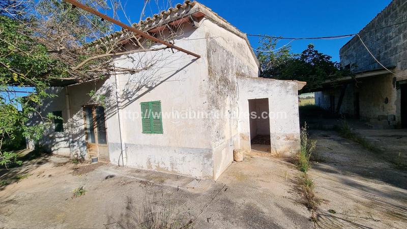 Foto a012b3ca-fa02-44a8-b2db-45c271779ca2. Casale in Lloseta