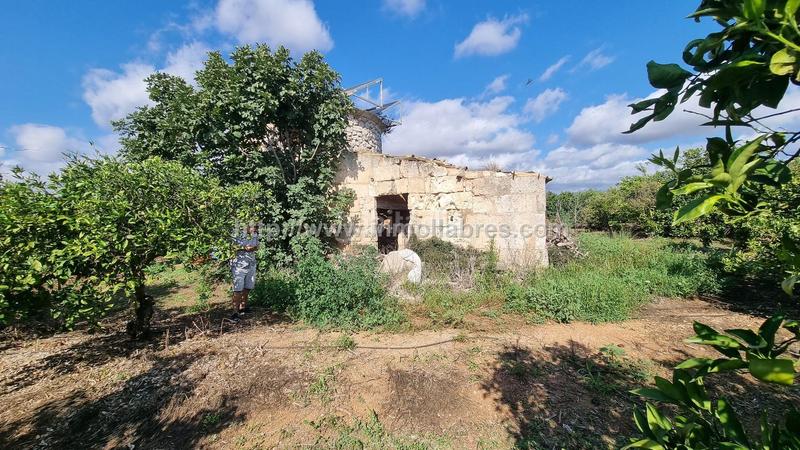 Foto 00cfc224-5daf-4971-918c-58b13a1ce473. Casale in Muro