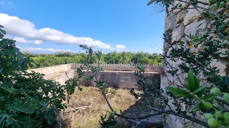 Foto 41a9b2bf-302b-4350-ba6e-069b47142d67. Casale in Muro
