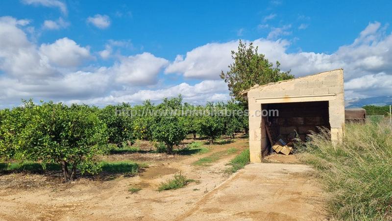Foto 8913ee15-49e0-4b6b-85e0-884a354d7572. Casale in Muro