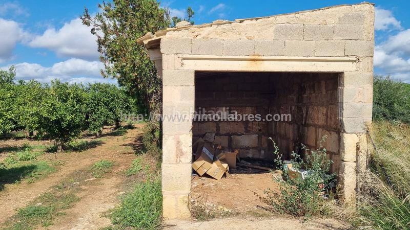 Foto 8efeeeb4-3408-4b0e-b2a4-3aff42432a04. Casale in Muro