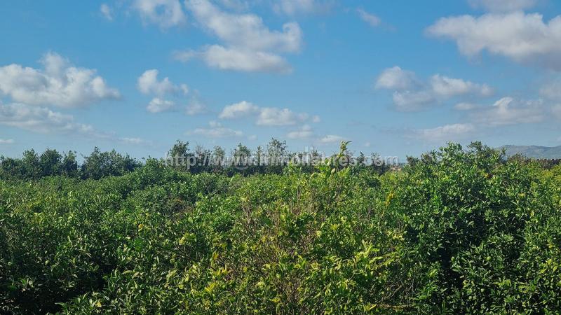 Foto e79697ba-4d4b-4da9-9234-e00d52563814. Casale in Muro