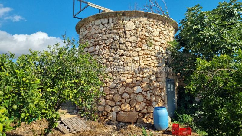 Foto f41b49c6-919e-4089-b8ed-e034db84562b. Casale in Muro