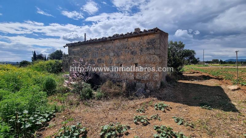 Foto 1d7ee4b8-c3ed-4f17-bee4-522d2b093db5. Masía finca rustica en en Sa Pobla