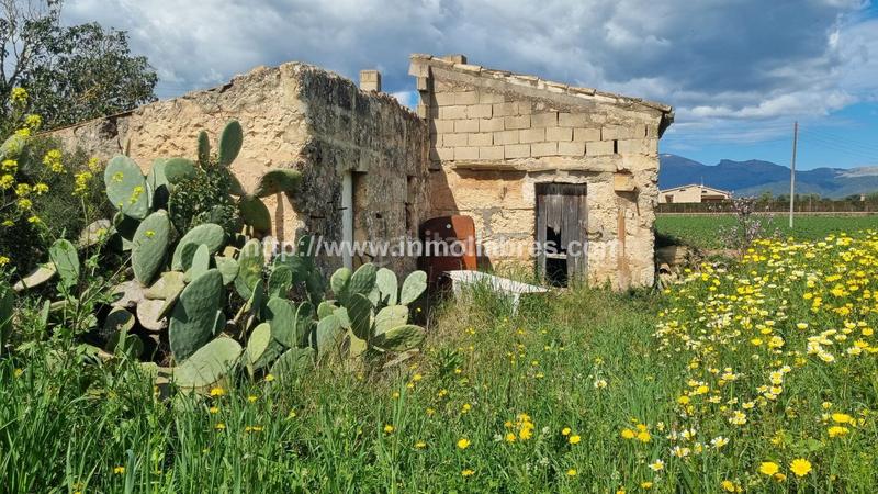 Foto 86588912-345b-45f4-80fd-3f952cf2f235. Masía finca rustica en en Sa Pobla