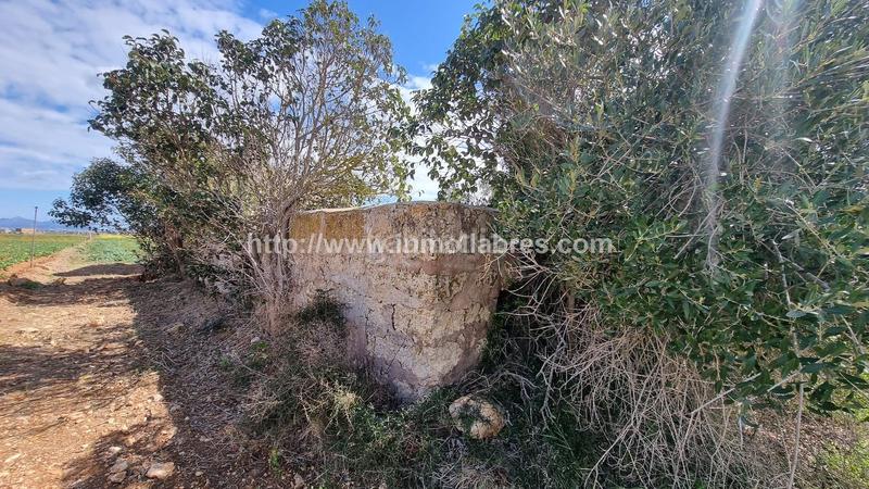 Foto b111f56a-15ec-48c7-a6e2-dc07f4229141. Masía finca rustica en en Sa Pobla