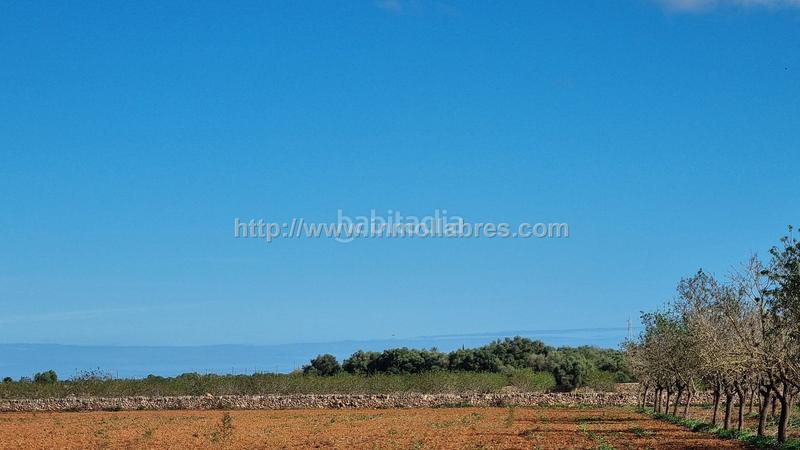 Foto 0c7ef4e3-24ae-4788-8c1e-f535152752e3. Terrain résidentiel dans Santa Margalida poble Santa Margalida