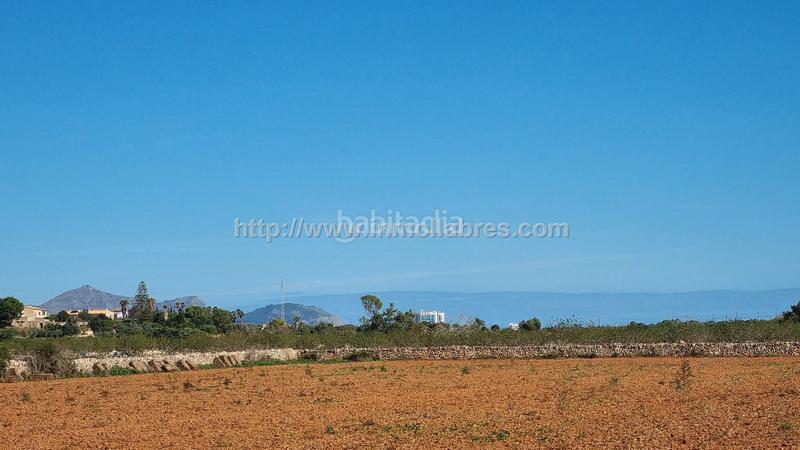 Foto 1ef4179f-ee73-49b0-b040-38d04cdfb3dd. Terrain résidentiel dans Santa Margalida poble Santa Margalida