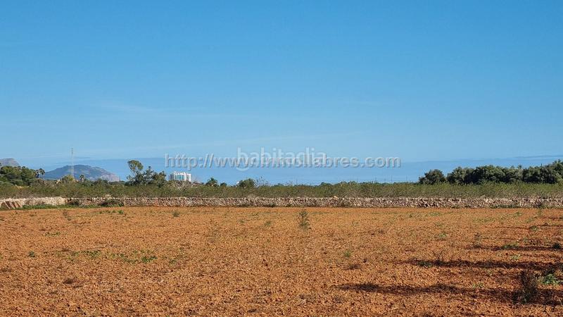 Foto 8c6b83ba-b018-4822-884e-9c73b0e81e31. Terrain résidentiel dans Santa Margalida poble Santa Margalida