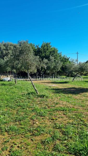 Foto 0120c86a-7bda-4a4a-bcb4-1e8869162595. Lloguer masia a Selva